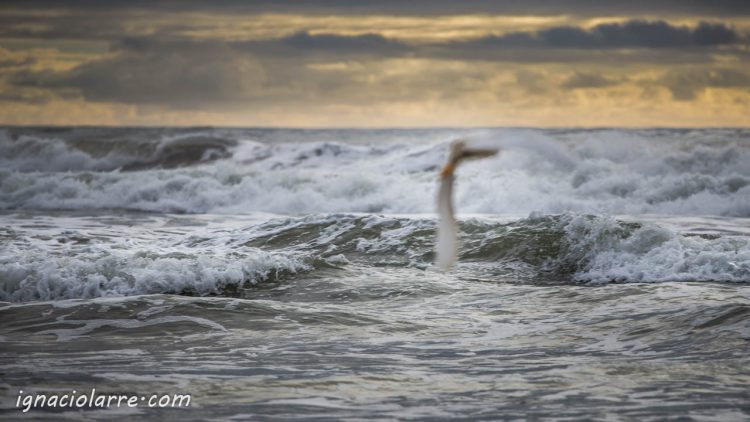 ¿Aún no crees en la magia?