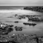 En busca de mi destino