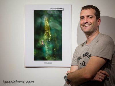 Ganador concurso Premios Yaguareté 2017