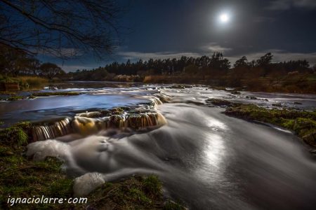 Luna de seda