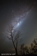 Mi árbol, mi amigo