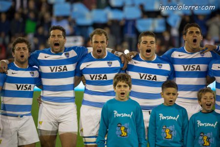 Orgullo puma