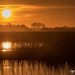 ¿Qué es lo importante?