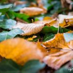 ¡Vaya manera de recordarla!